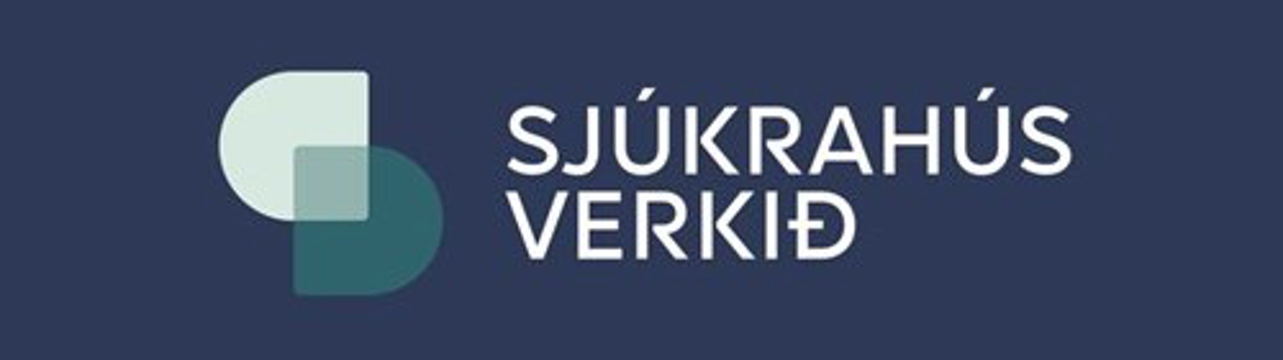 Sjúkrahúsverkið
